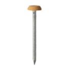 Timco Polymer-Headed Nails Oak Head A4 Stainless Steel Shank 3.2mm x 50mm 100 Pack