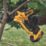 DEWALT DCMPP568P1-GB 18V 1 x 5Ah Li-Ion XR Cordless Bypass Powered Secateurs
