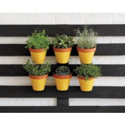 Ronseal 750ml Sundial Matt Garden Paint