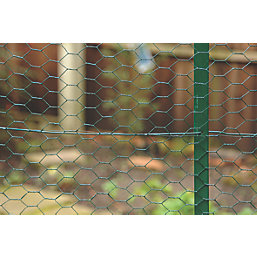 Apollo 25mm PVC-Coated Wire Netting 0.5m x 10m