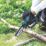 Makita DUC150Z 18V Li-Ion LXT Brushless Cordless 150mm Pruning Saw - Bare