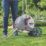 Gardena CleverRoll Metal Hose Trolley 13mm x 25m