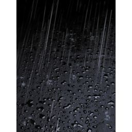 Thompsons 10 Year Roof Seal Black 4Ltr