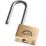 Squire Lion Brass  Weatherproof Long Shackle  Padlock 40mm