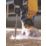 DEWALT Extreme 2 SDS Plus Shank Masonry Drill Bit 5.5mm x 160mm
