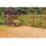 Ronseal Ultimate Protection 5Ltr Natural  Decking Oil