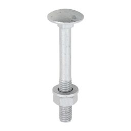 Timco Exterior Carriage Bolts Carbon Steel Organic Silver Coating M6 x 50mm 10 Pack