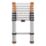 Magnusson  2.6m Telescopic Ladder