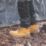 DEWALT Titanium Size 11  Honey Waterproof Steel Toe Cap Safety Boots