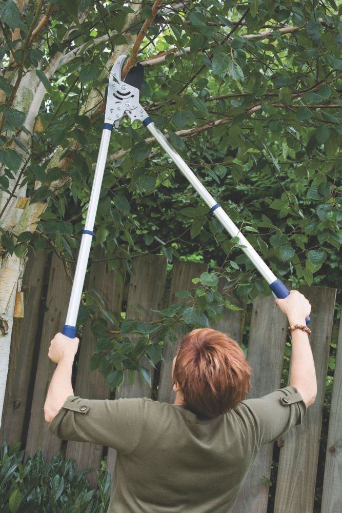 Spear & jackson razorsharp deals telescopic tree pruner