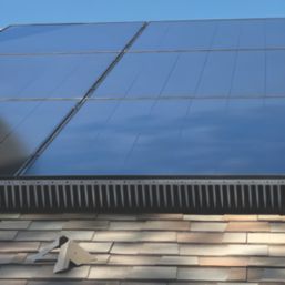 Toro  Polypropylene Bird Solar Proofing Spikes 500mm