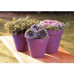 Ronseal 750ml Purple Berry Matt Garden Paint