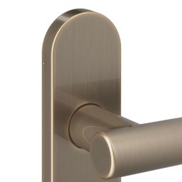 Cooke & Lewis Damgan WC Lever on Backplate Door Handles Pair Antique Brass