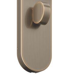 Cooke & Lewis Damgan WC Lever on Backplate Door Handles Pair Antique Brass