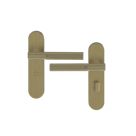 Cooke & Lewis Damgan WC Lever on Backplate Door Handles Pair Antique Brass