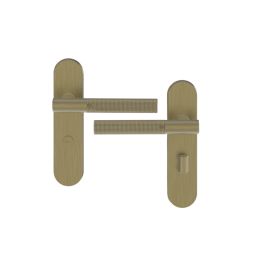 Cooke & Lewis Damgan WC Lever on Backplate Door Handles Pair Antique Brass