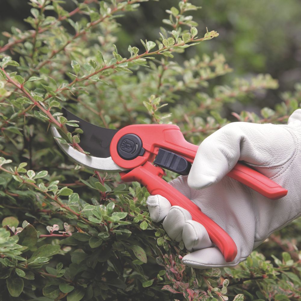 Screwfix hedge clearance shears