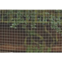 Apollo 13 x 25mm Galvanised Welded Mesh 0.9m x 6m