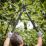 Magnusson   Bypass Loppers 27 1/4" (695mm)