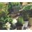 Hozelock Solar-Powered Irrigation Kit 74 Pieces