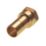 Hep2O  Brass Push-Fit Adapting Female Coupler 22mm x 3/4"