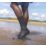 SockShop Waterproof & Breathable Socks Black 9-11