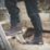 DEWALT Bolster Size 12  Brown  Steel Toe Cap Safety Boots