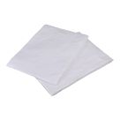 Polyethylene Dust Sheets 3.66m x 2.75m 2 Pack