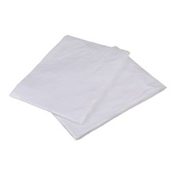 Polyethylene Dust Sheets 3.66m x 2.75m 2 Pack
