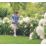 Bosch  UniversalGrassCut 18V-26  18V Li-Ion Power for All  Cordless Grass Trimmer - Bare