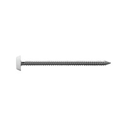 FloPlast Nails White Head A4 Stainless Steel Shank 3mm x 65mm 100 Pack