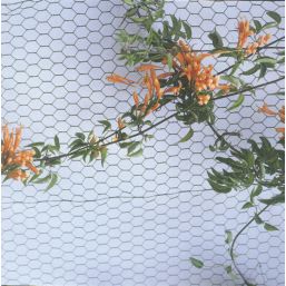 Apollo 50mm Galvanised Wire Netting 0.6m x 50m