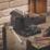 Magnusson Workshop Vice 6" (150mm)