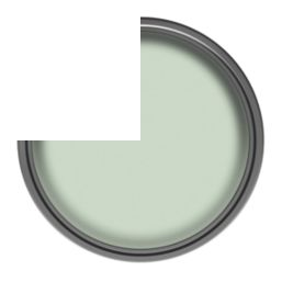 Dulux Easycare 2.5Ltr Willow Tree Matt Emulsion Kitchen Paint