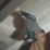 Makita DF333DWAE 12V 2 x 2.0Ah Li-Ion CXT  Cordless Drill Driver