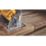 DEWALT DCS512N-XJ 140mm 12V Li-Ion XR Brushless Cordless Circular Saw - Bare