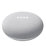 Google Nest Mini Voice Assistant Chalk
