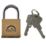 Squire Lion Brass  Weatherproof   Padlock 40mm