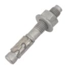 Rawlplug Throughbolts R-XPTIII M12 x 80mm 50 Pack