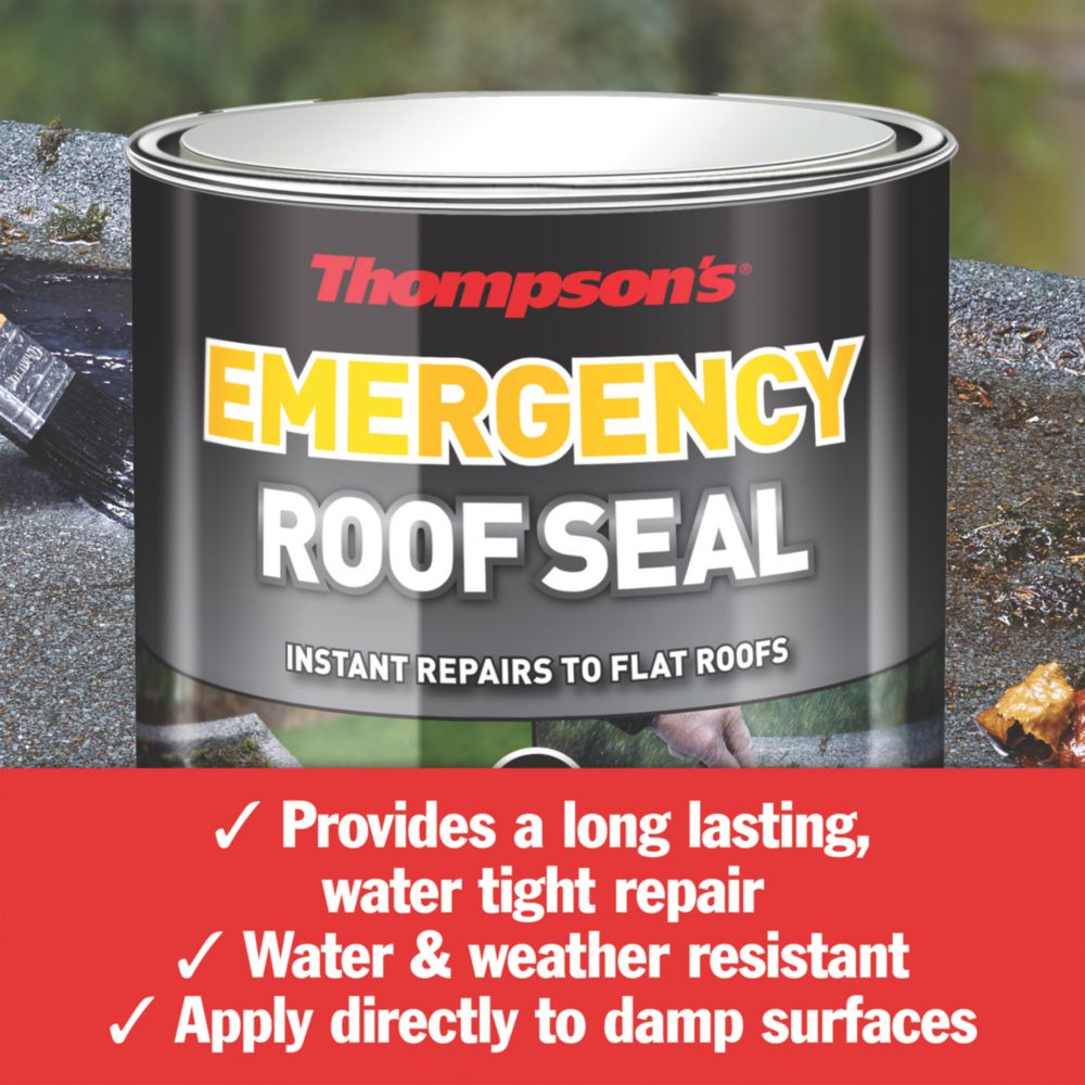 Ronseal Thompson's Emergency Roof Seal From £21.93 - View #11