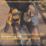 DEWALT 
DCMPW1000N-XJ 69bar 54V Brushless Cordless Pressure Washer - Bare