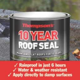 Thompsons  10 Year Roof Seal Grey 2.5Ltr