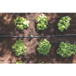 Hozelock Easy Drip Universal Watering Kit