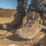 DEWALT GridX Size 7  Gunsmoke Waterproof  Safety Boots