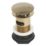 Flomasta Slotted Pop Up Basin Waste Brushed Brass 66mm