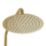 Highlife Bathrooms Spey Rear-Fed Exposed Brushed Brass Thermostatic Shower