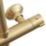Highlife Bathrooms Spey Rear-Fed Exposed Brushed Brass Thermostatic Shower