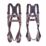 JSP Pioneer Twin Tail Fall Arrest Kit with Lanyard 2m