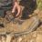 DEWALT GridX Size 6  Gunsmoke Waterproof  Safety Boots