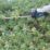 Makita DUH507Z  500mm 18V Li-Ion LXT Brushless Cordless Hedge Trimmer - Bare